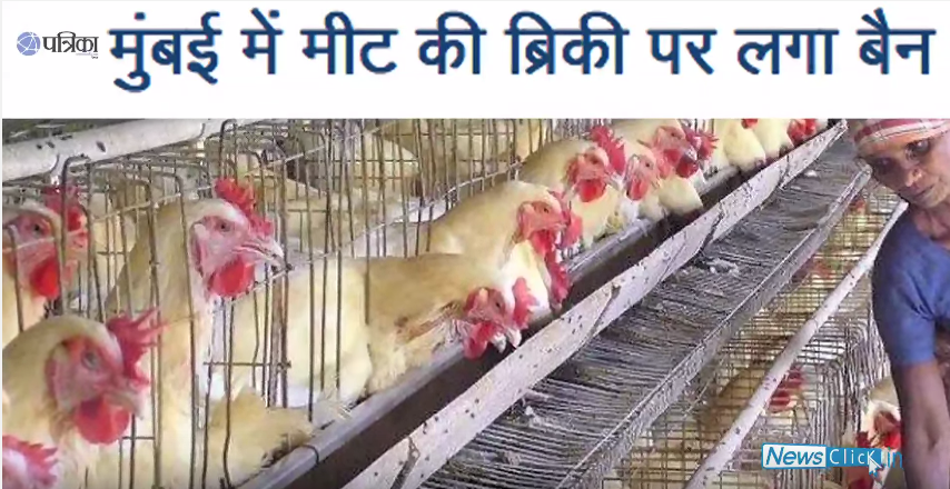 मीट बैन, अल्पसंख्यक और आर्थिक अधिकारों पर हमला