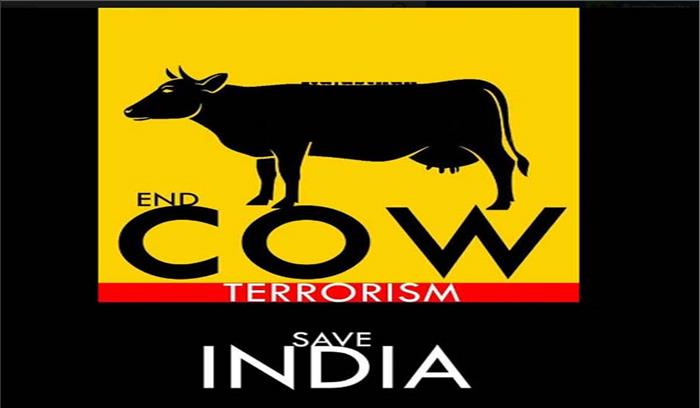 cow vigilantism 