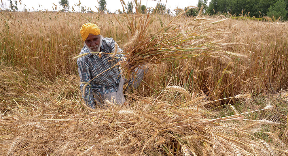 farmers crises 
