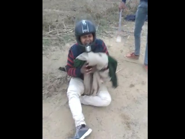 dalit assertion 