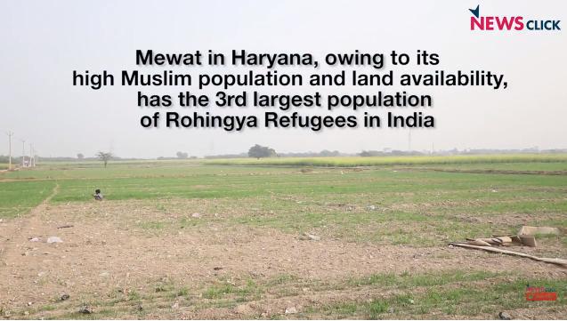 mewat 