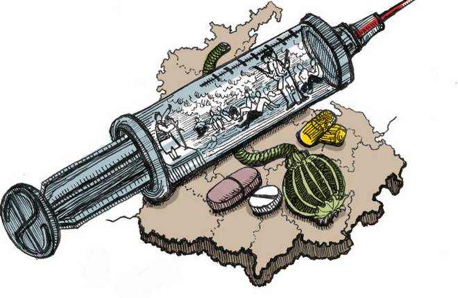 punjab 