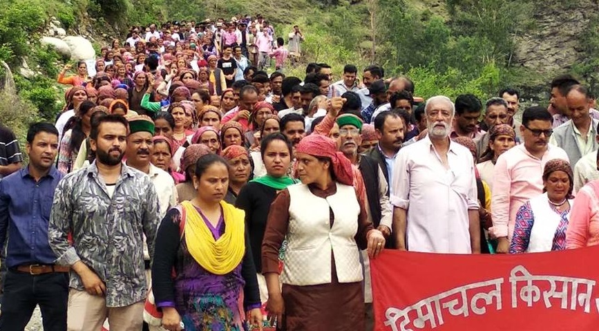 हिमाचल दूध किसान 