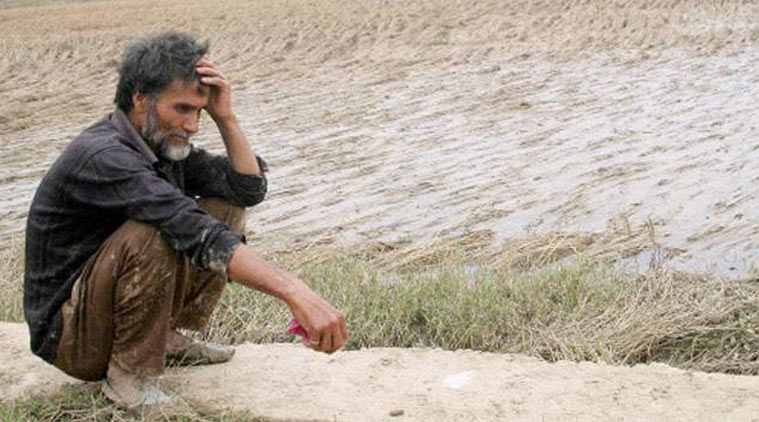 farmers scuicide 