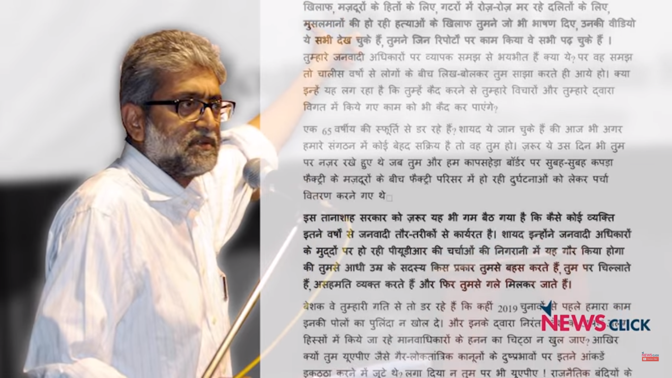 gautam navlakha