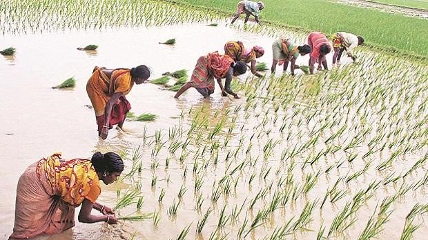 chattisgarh 