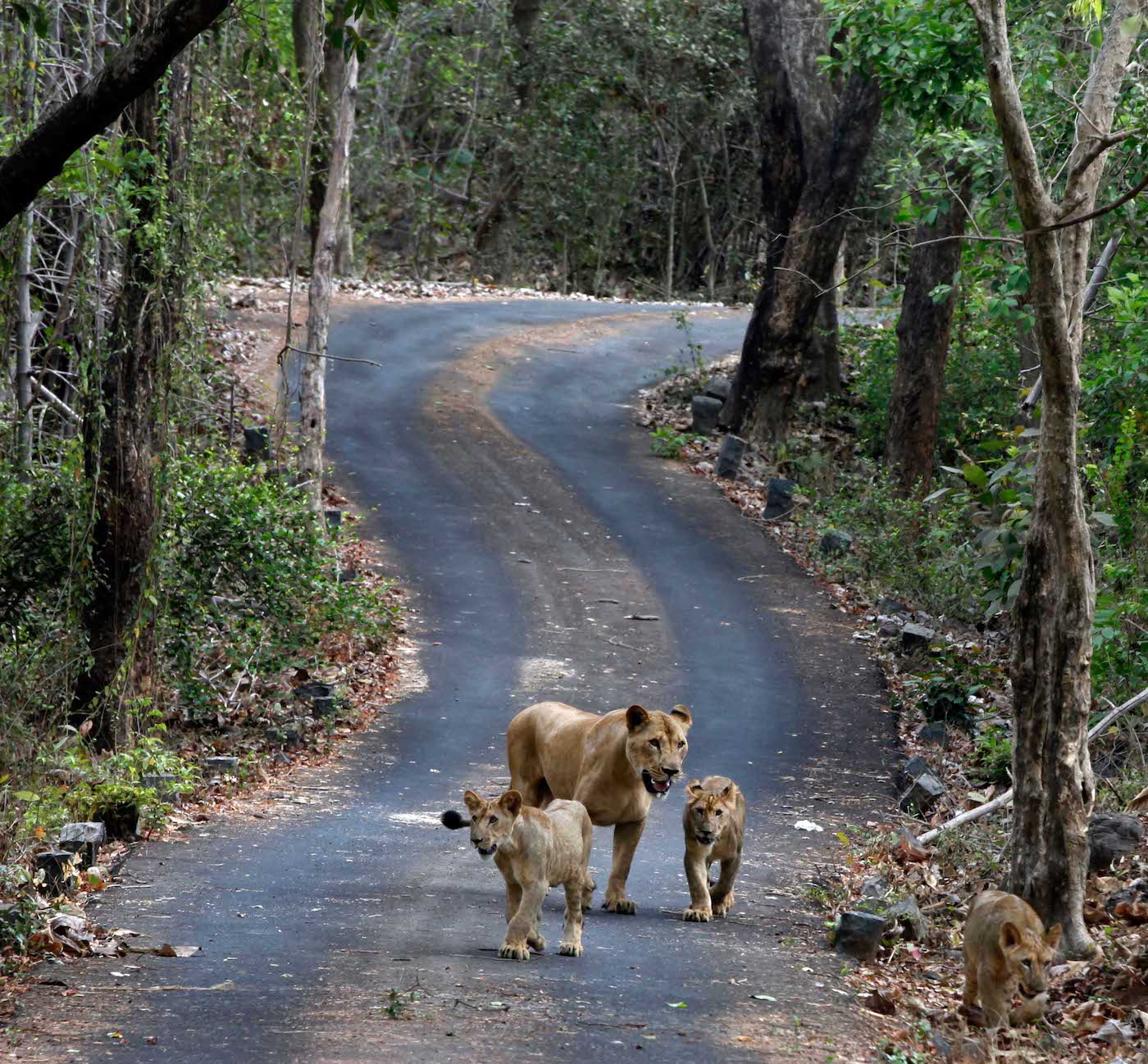 सांकेतिक तस्वीर