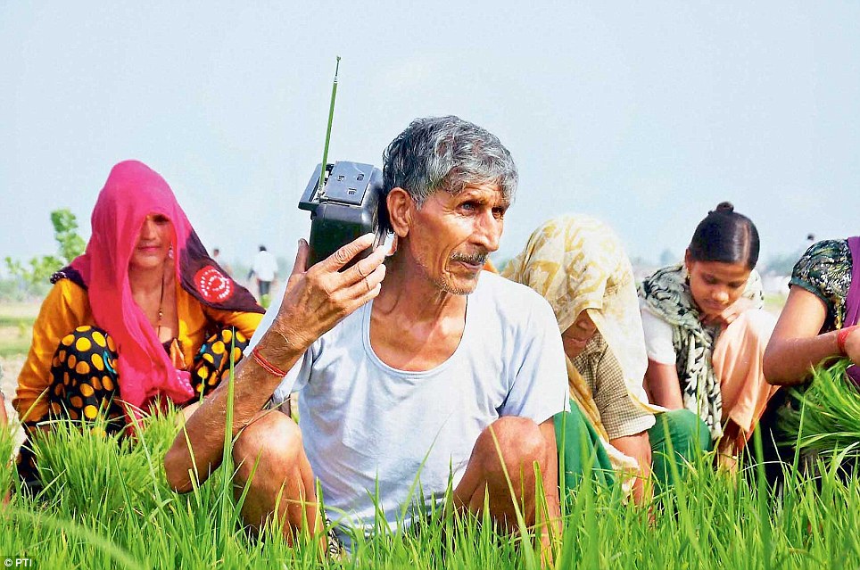 farmer 
