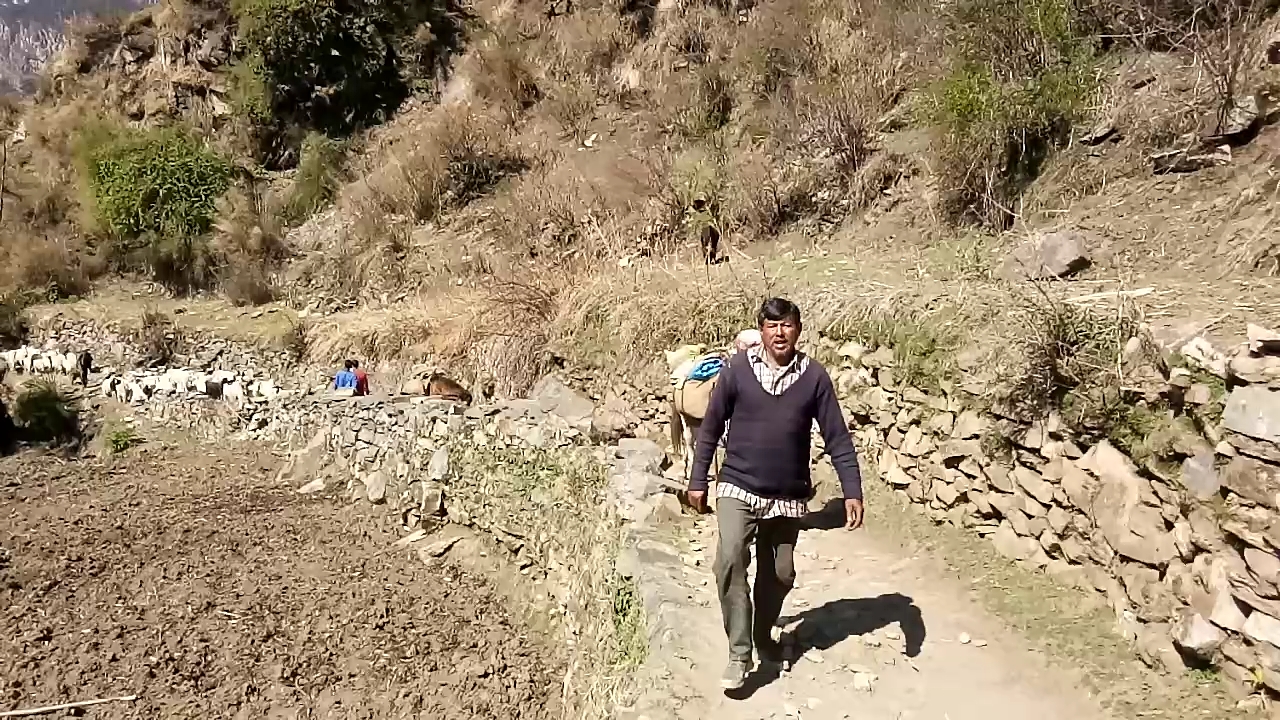 सड़क, पानी, स्वास्थ्य सेवा के बिना रह रहे पहाड़ी गाँव की कहानी 