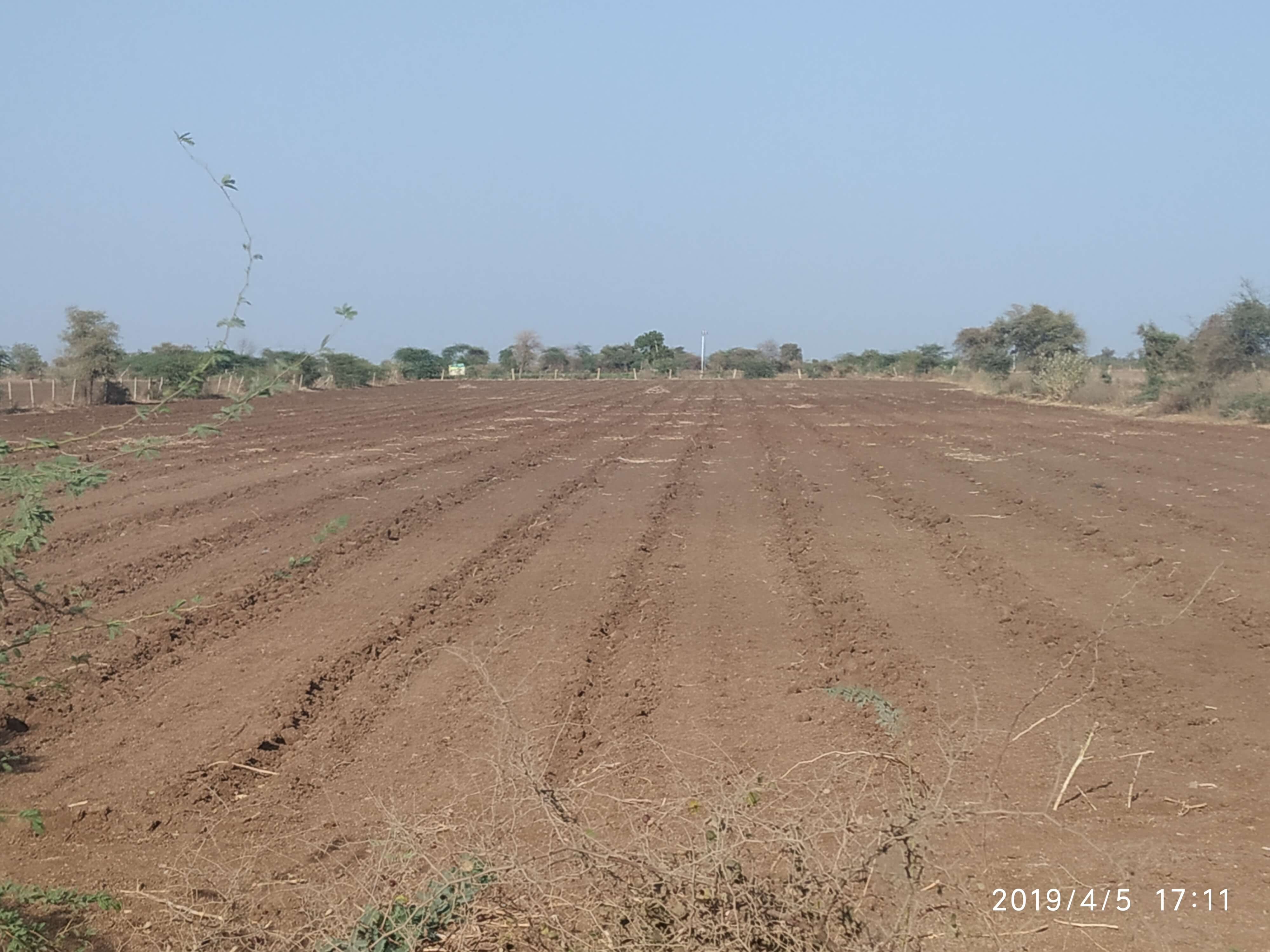 Surendranagar