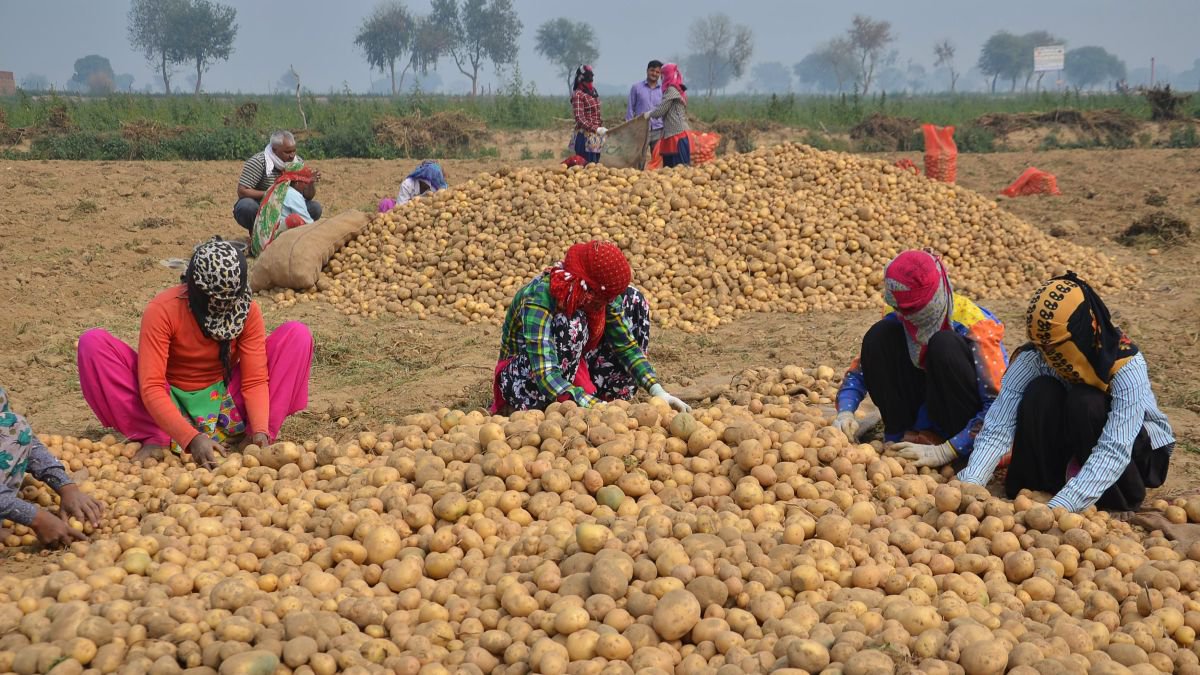 पेप्सीको और मोनसेंटो का फ़र्जी केस भारतीय किसानों पर हमला है