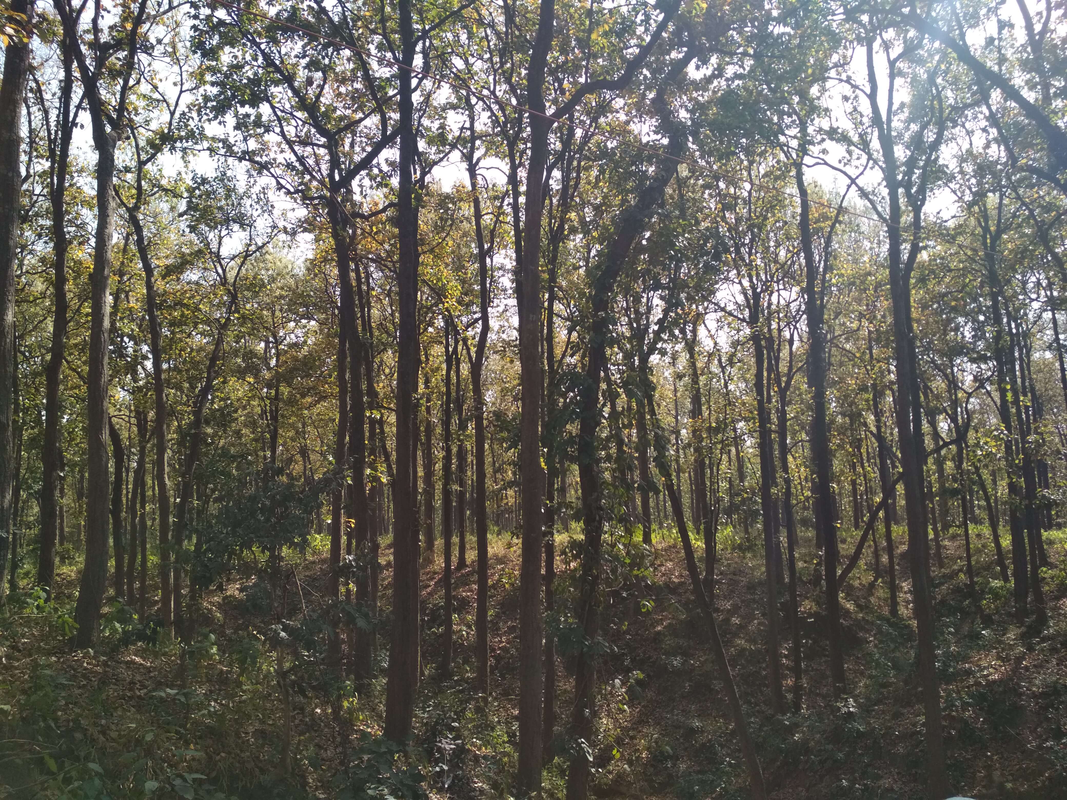 सांकेतिक तस्वीर