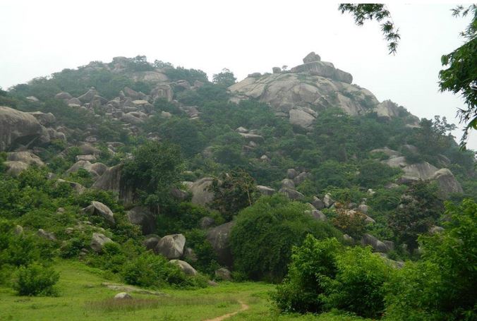 Mmountain