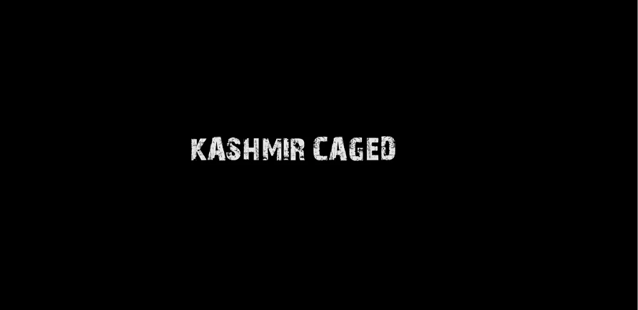 वीडियो : कश्मीर की हक़ीक़त! 
