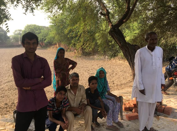 haryana election