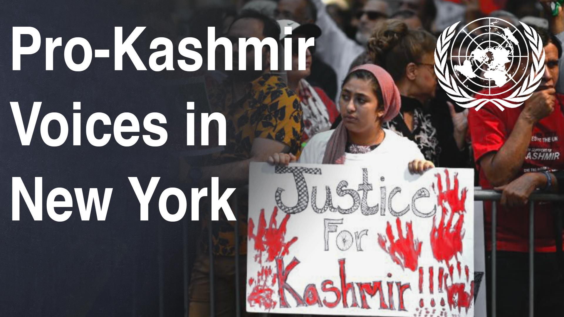 pro kashmir