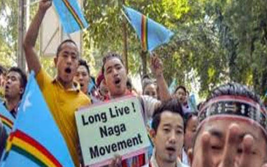 long live movement