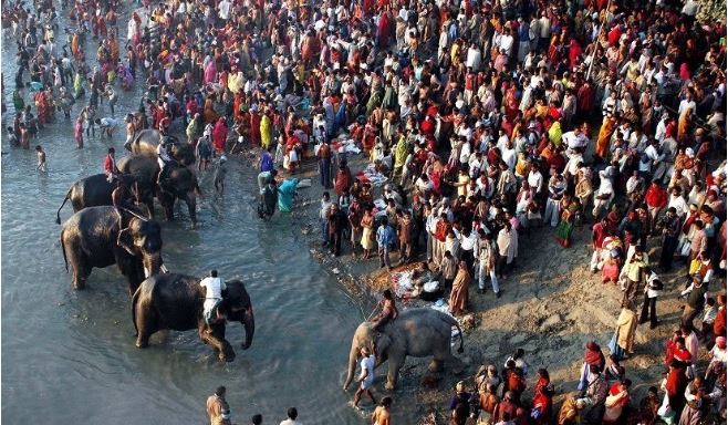 sonpur animal fair
