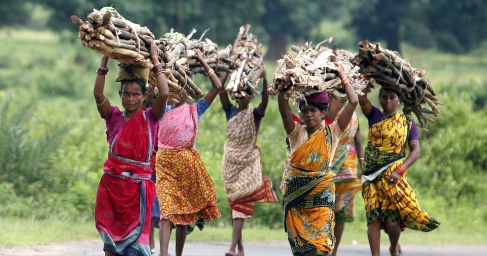 jharkhand elections