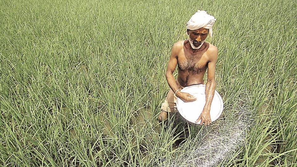 Agriculture