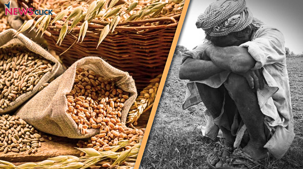 Record Food Grain Production