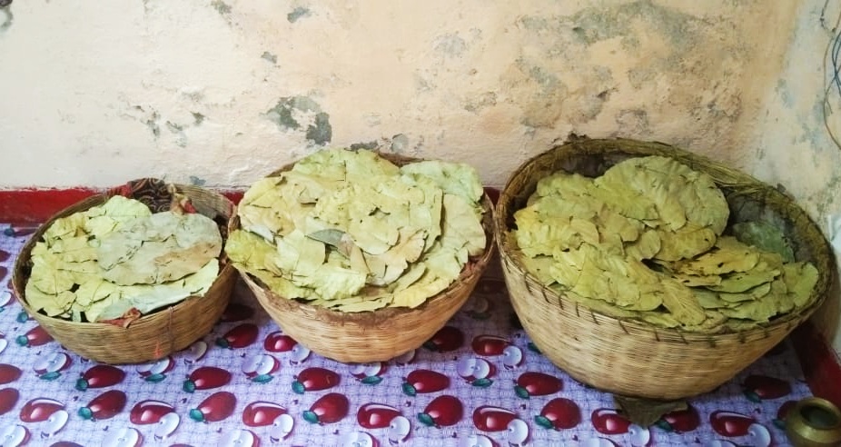 पान 