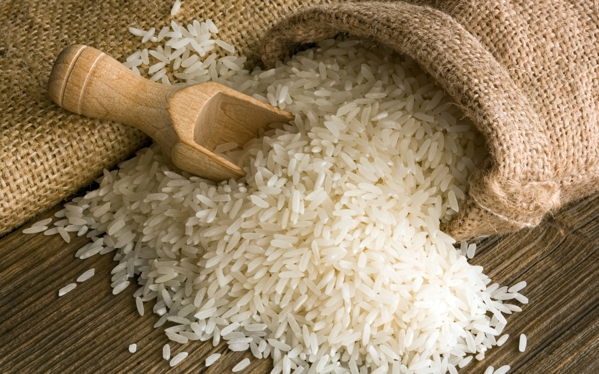 चावल 
