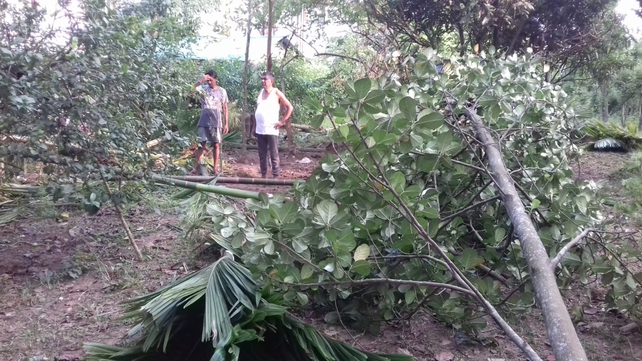  जान गंवा रहे ग़रीब आदिवासी