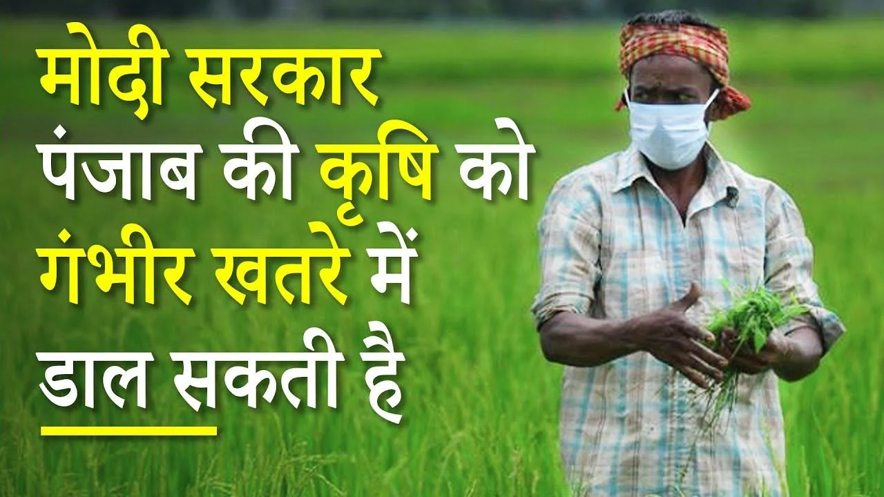 पंजाब की कृषि 