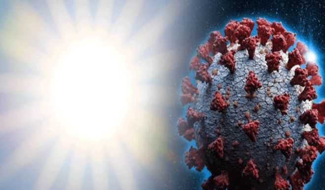 coronavirus