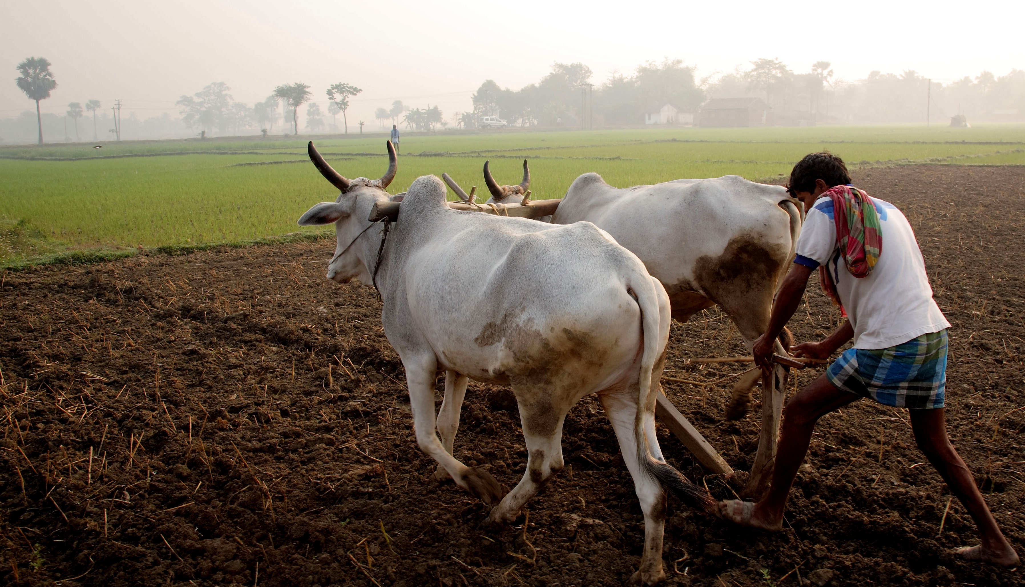 बिहार 
