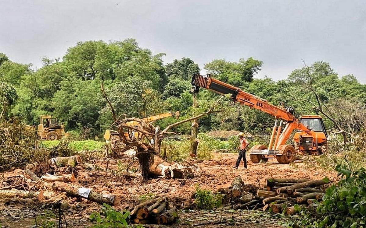 पृथ्वी पर जीवन के तीन बड़े खतरे, जिन्हें 2021 में हल करना होगा 