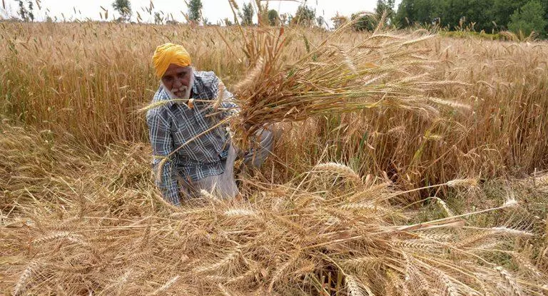 एमएसपी व्यवस्था को मज़बूत बनाने की ज़रूरत