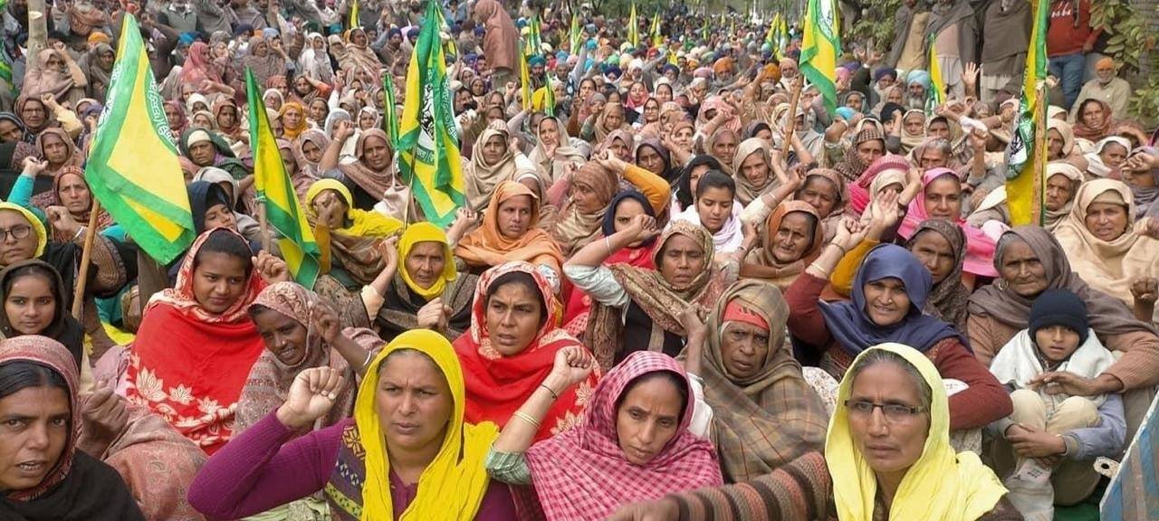 लूट से बचने  के लिए किसानों की न्यूनतम समर्थन मूल्य कानून की मांग