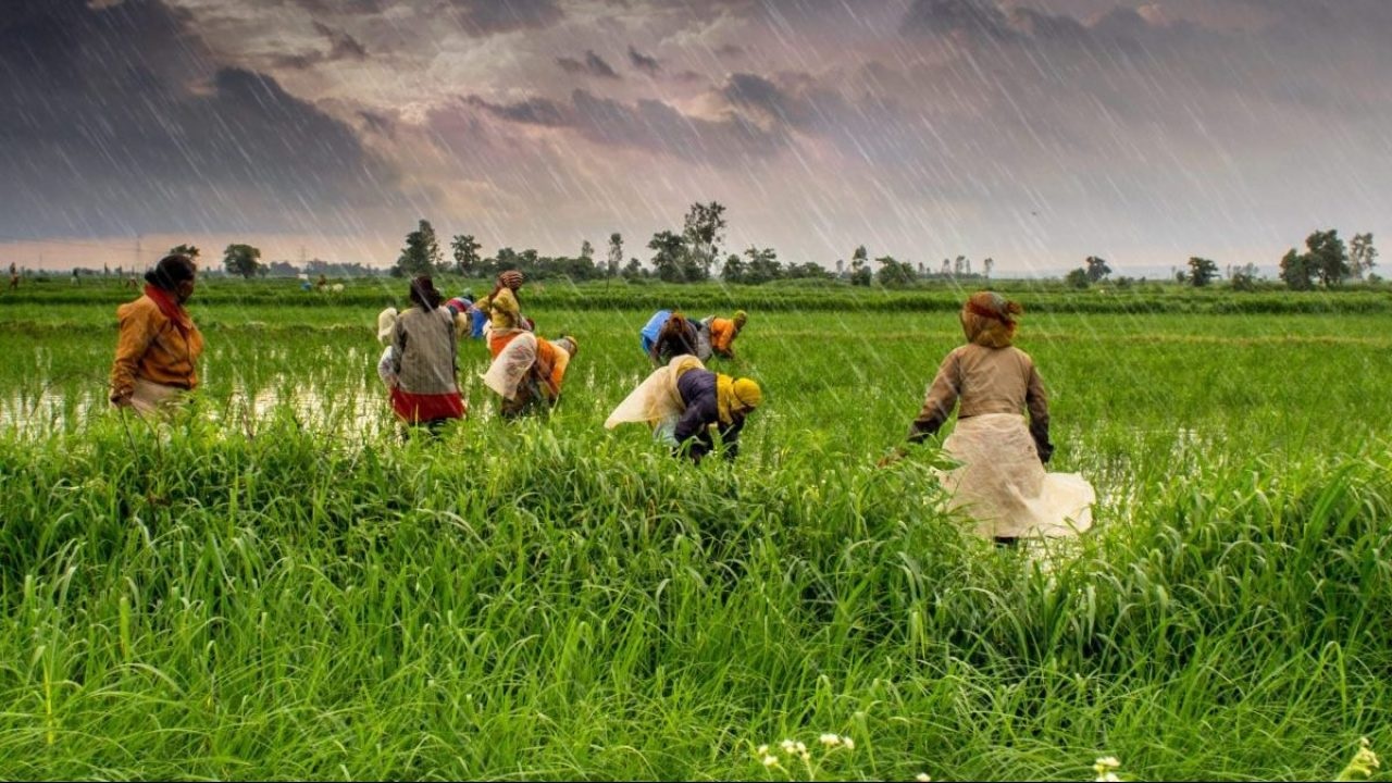 जिसके पास ज़मीन के दस्तावेज़ नहीं, उसके फ़सल की MSP पर ख़रीददारी नहीं!