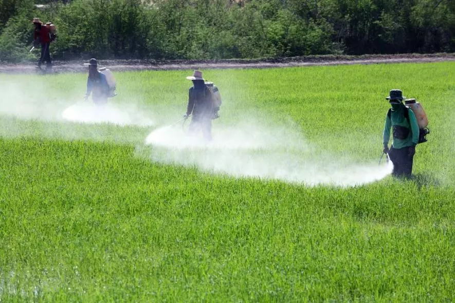कीटनाशक प्रदूषण के जोखिम की ज़द में विश्व के 64% कृषि क्षेत्र