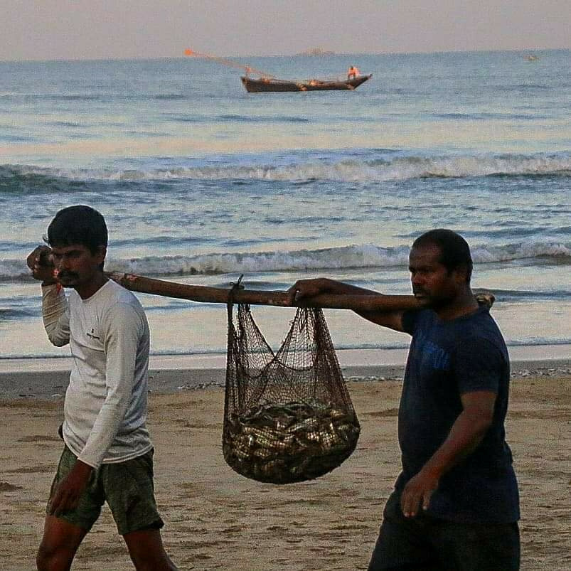मुंबई से कोंकण तक ख़तरे में मछुआरों की रोज़ी-रोटी, कोरोना पाबंदी के नए नियम से बढ़ी मुसीबत