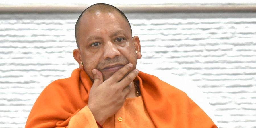 yogi