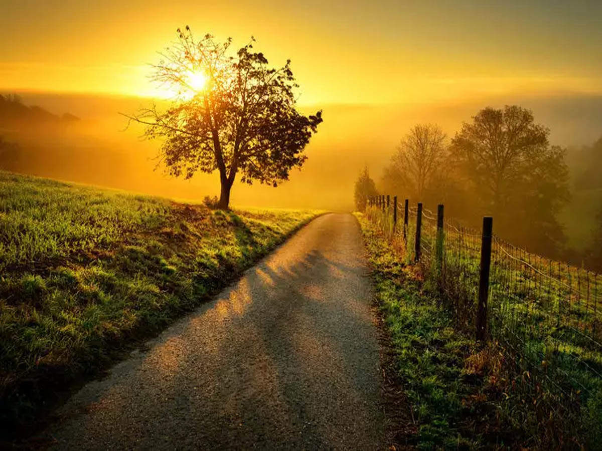 Nature