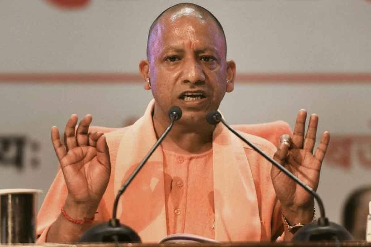 yogi