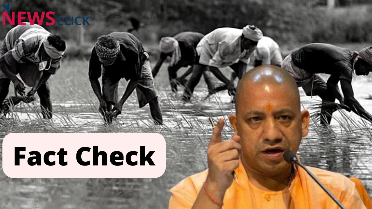 fact check