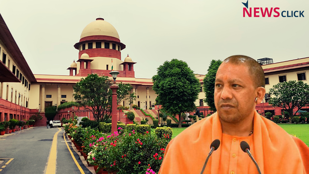 sc and yogi