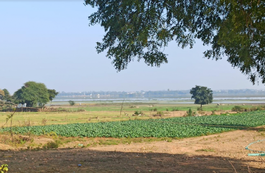  farm