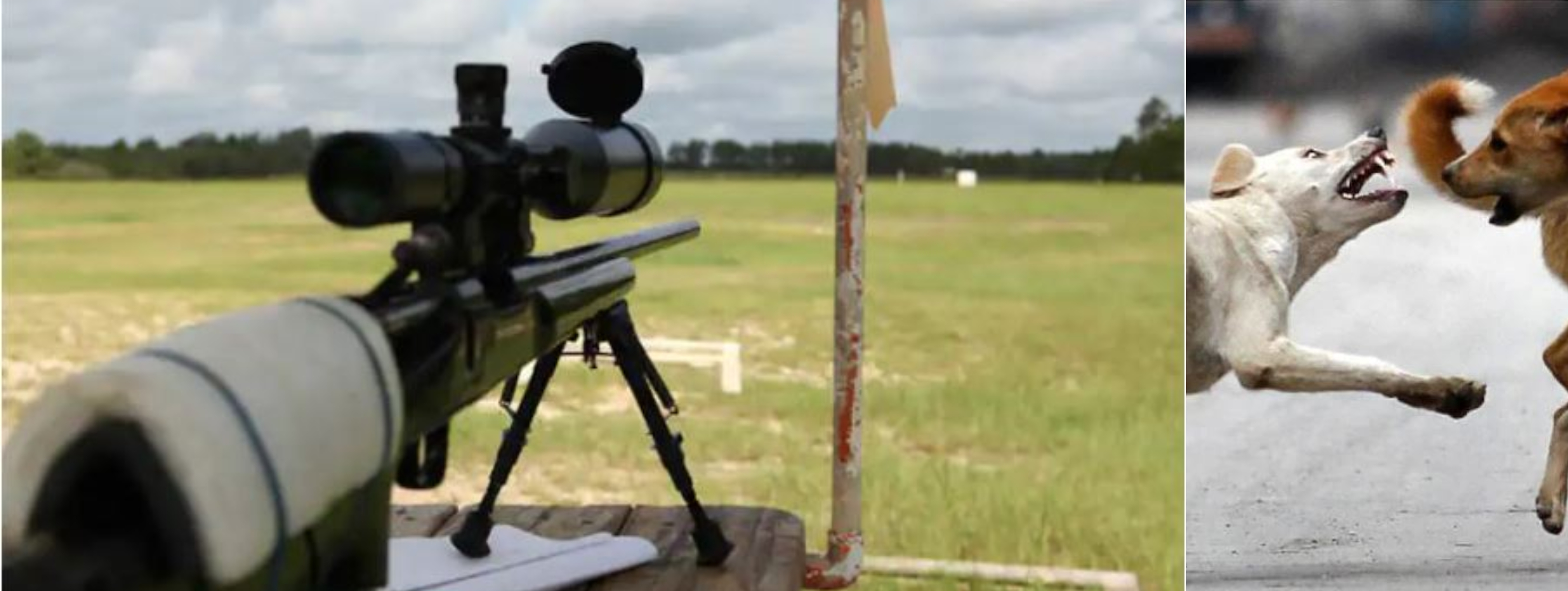 SHOOTING RANGE