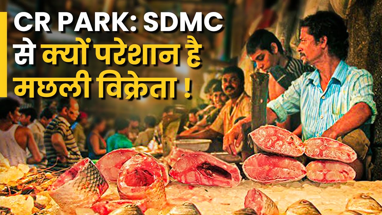 sdmc