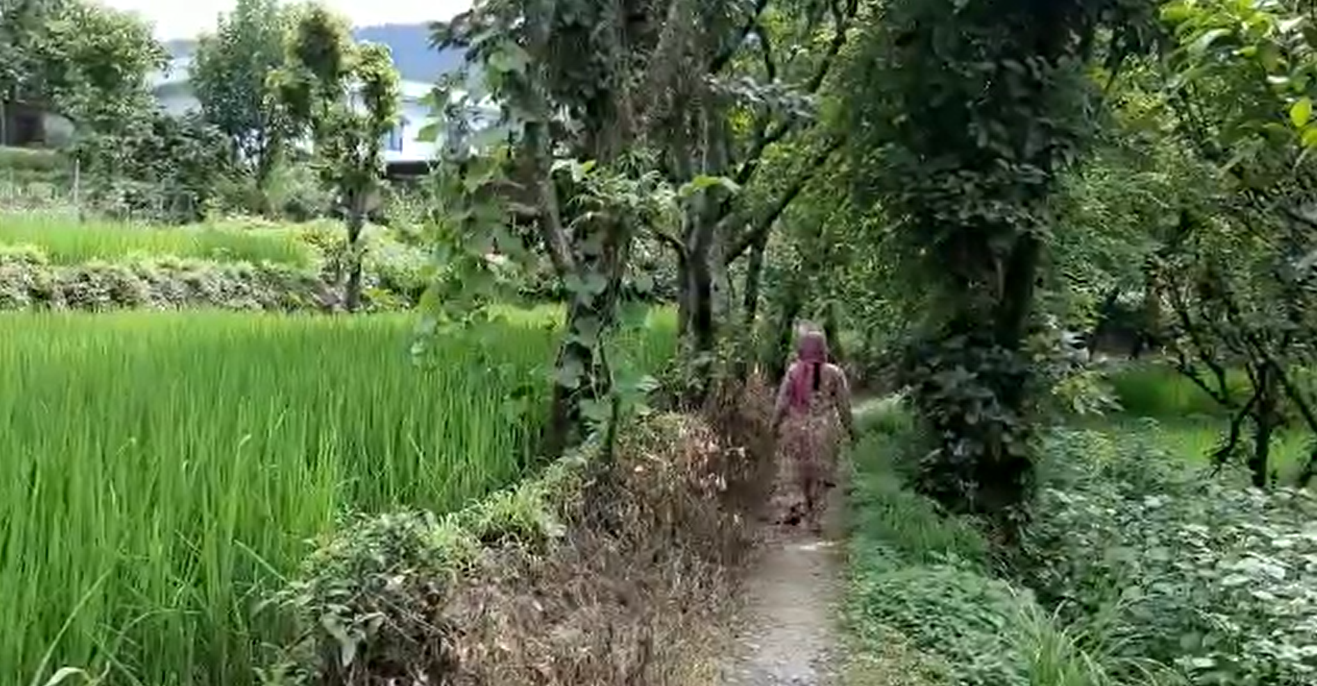 bharvakatal village 1.png