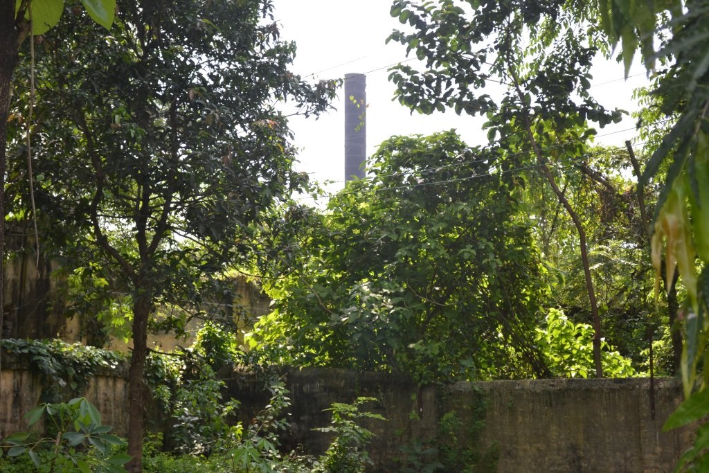 image 4_1.jpg