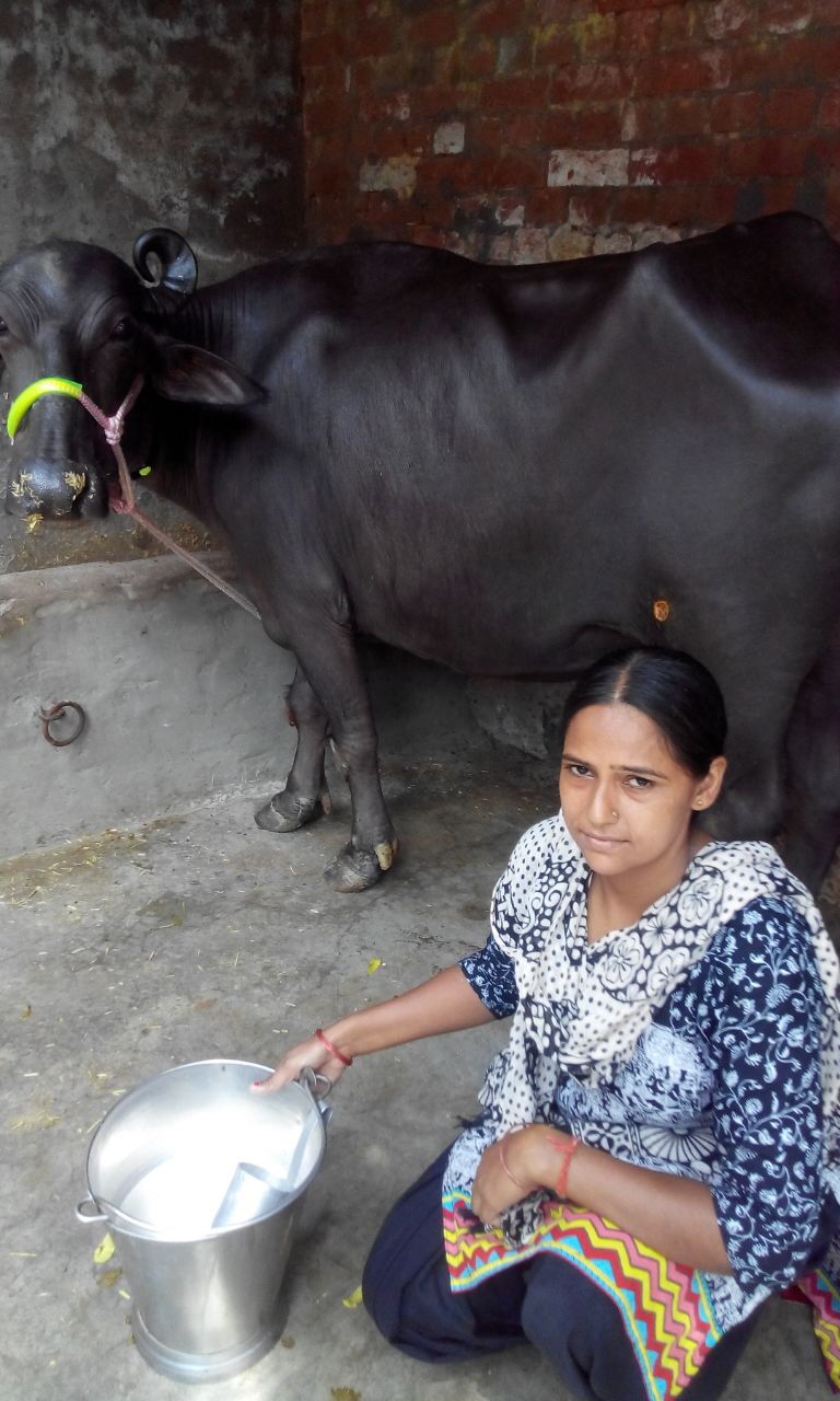 Hemlata Haryana
