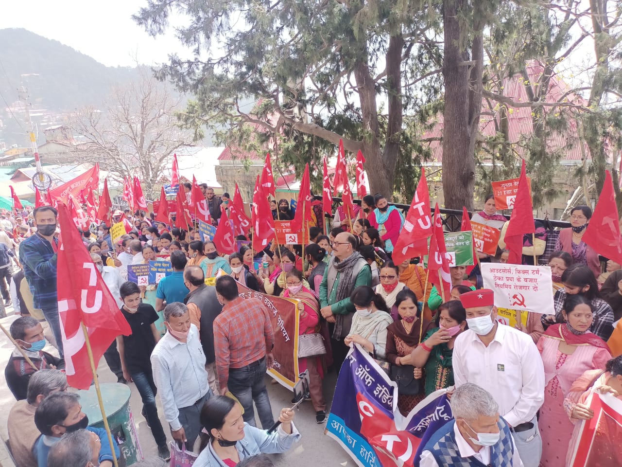 shimla