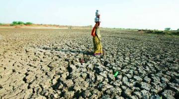 gujrat model 